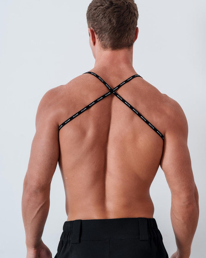 Enzo Harness