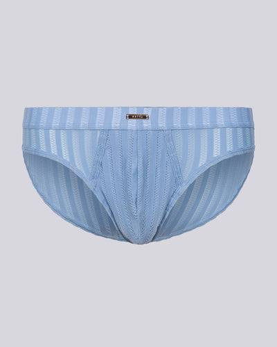 Blaze Swimming Briefs