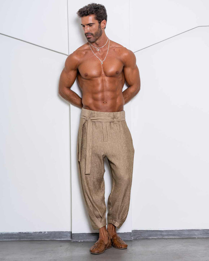 Aladdin Pants