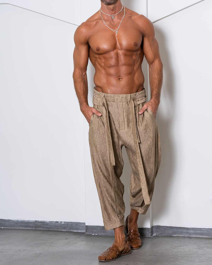 Aladdin Pants
