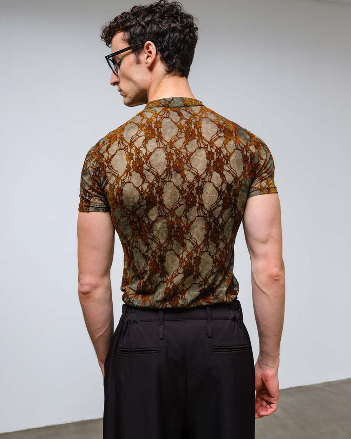 Lysander Top