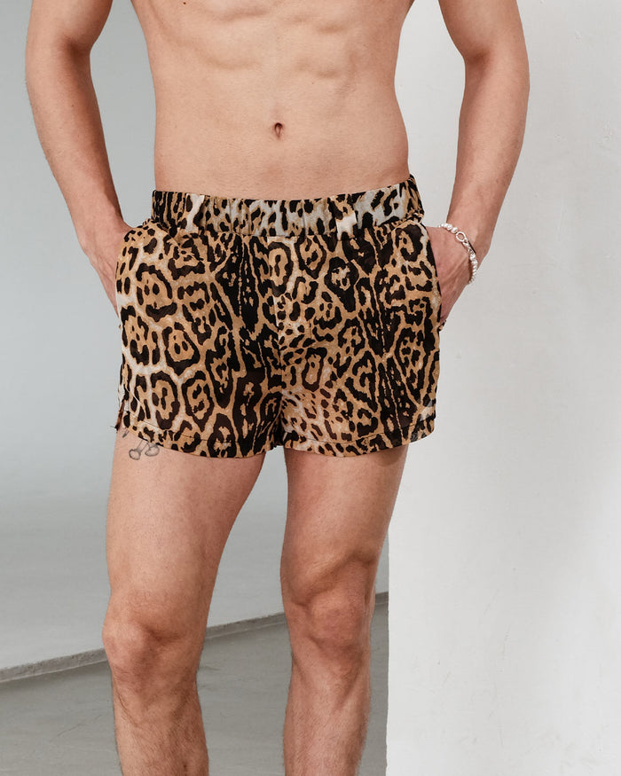 Tiziano Shorts